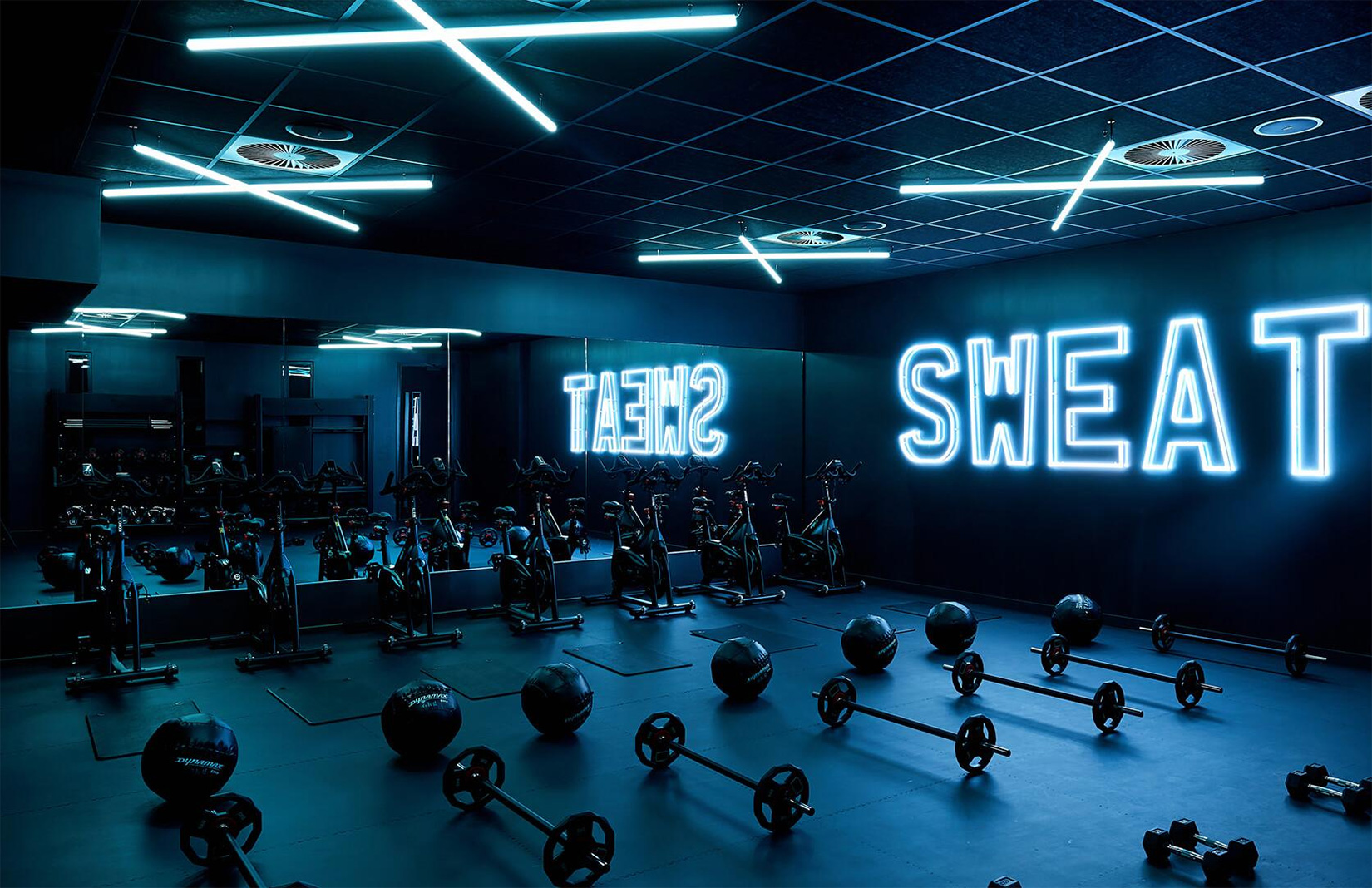 Background Gym